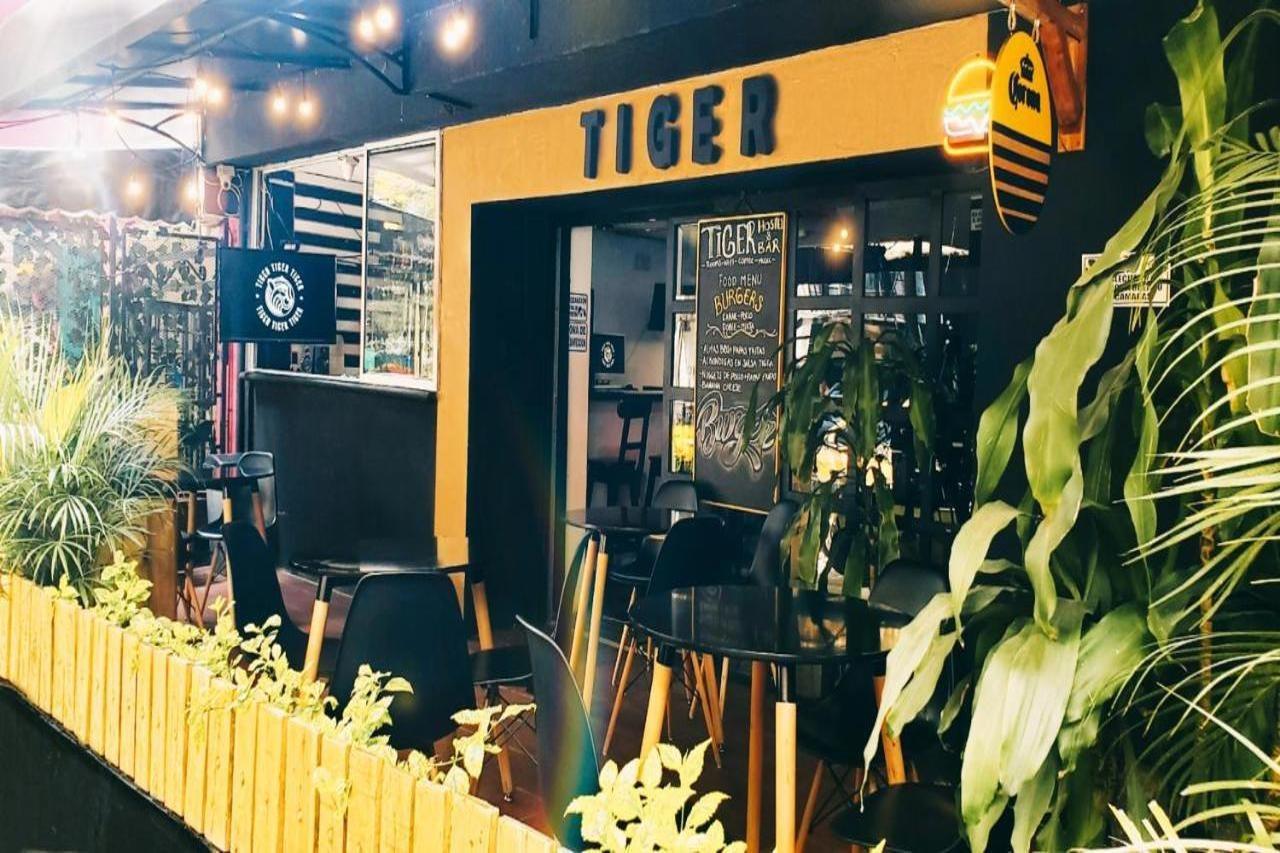 Tiger Hostel Medellín Kültér fotó